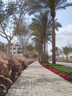 In the heart of Cairo - Cairo - 8
