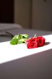COSMO Beach Hotel - 6