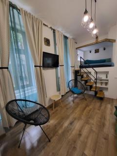 Casa Silvia - Cluj-Napoca - 7