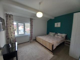 4 Seasons Apartments - Bistriţa - 6