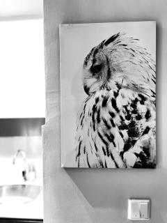 Tuffy House @ Southville City - 4