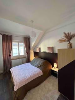 Confortable T3 juste rénové au cœur d’Aurillac - Aurillac - 5