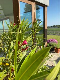 Villa Alba, Walcheren - 3