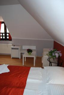 Adler Hotel & Wellness - Tihany - 6