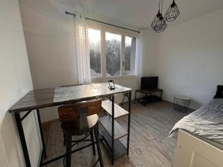 Studio Rennes les bains au pied des Thermes - Rennes-les-Bains - 6