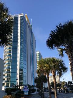 Newly Renovated Ocean Front Condo, Modern Decor, Central MB, 20th floor - Myrtle Beach - 9