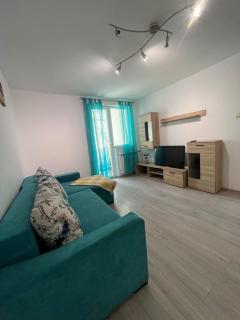 Ultra Central Apartment - Suceava - 8