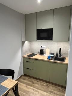 Noclegi u Alicji- Apartamenty - Gołuchów - 7