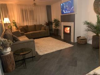 Relaxing entire house with garden - Botoşani - 7