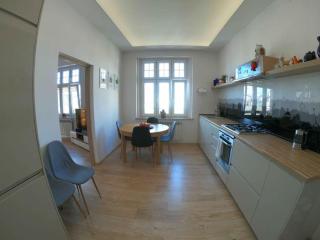 Spacious apartment in the heart of Katowice - Katowice - 3