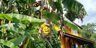 Suíte na Praia de Taquaras - 6