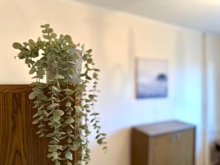 MMRent Przytulny apartament w Sopocie - 4