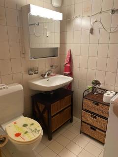 "Le Ptit Nid" studio avec vue à couper le souffle à Leysin ! - 1