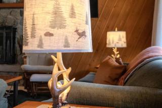 Pinetree Place - Wrightwood - 7