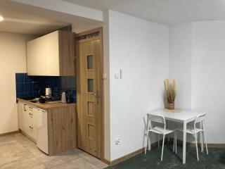 METRO APARTMENT - Bielsko-Biała - 1