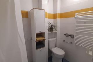 Bielle, grand appartement 38m2, piscine, 4 pers, couchages 160x200 - Bielle - 7