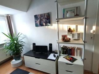 Apartment am Südpark Erfurt - inkl Garten mit Sitzlounge - zentrumsnah - Erfurt - 7