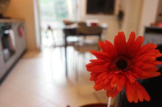 Il Nido di Marirò - 9