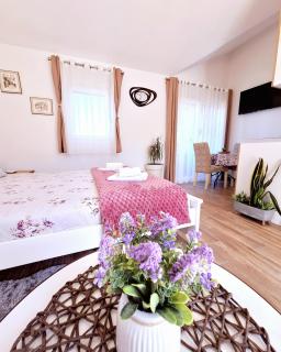 Sunny Side Apartments - Rijeka Crnojevića - 2