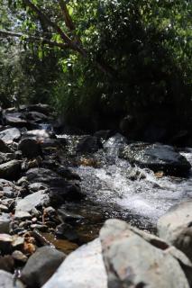 Sapiens house"la Gallita de roca" - 5