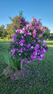 Sítio Santa Cecília - 3