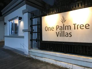 Condo Palm Tree 1 Across NAIA T3 - Manila - 0