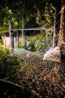 Casa de Noah Bed & Breakfast - 8