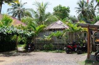 Edelweiss Homestay - Kuta - 3
