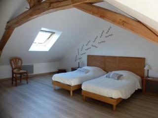 Maison rénovée du XVIe, jardin clos, proche de la Loire et châteaux, tout inclus, équipements complets - FR-1-381-562 - La Chapelle-sur-Loire - 9