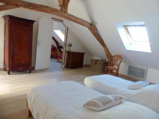 Maison rénovée du XVIe, jardin clos, proche de la Loire et châteaux, tout inclus, équipements complets - FR-1-381-562 - La Chapelle-sur-Loire - 2