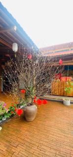 An Homestay Tam Coc - Ninh Bình - 4