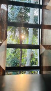 Namasthe Inn AC, Ottapalam-Palakkad Highway, Lakkidi - 4