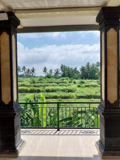 Puri Prana Guest House - Ubud - 4
