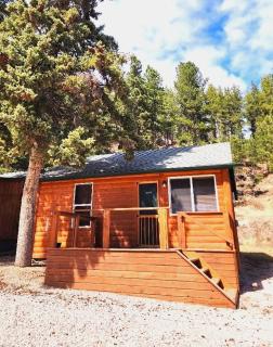 Allen Gulch Cabins - Hill City - 9