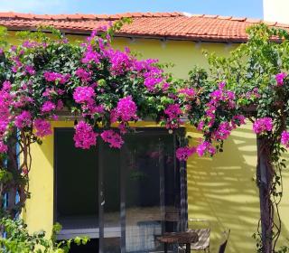 Chunlii Homestay - Ke Ga - 3