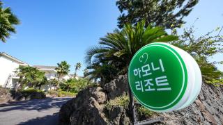 Harmony Resort - Jeju - 8