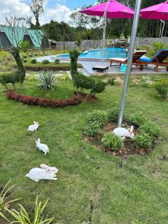 Lucky Star Resort - Xuyên Mộc - 6
