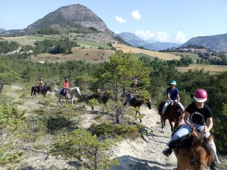 Les amandiers - Gigors - 4