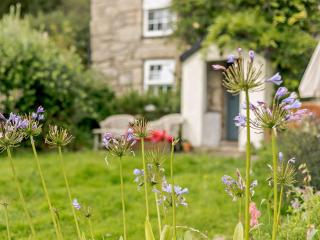 1 Bed in Portreath PENNA - Carnbrea - 8