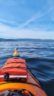 Seaside house 20 min from Trondheim - - 4