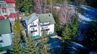 Family TreeZ Premium Apartments - Poiana Brasov - 7