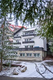 Family TreeZ Premium Apartments - Poiana Brasov - 8