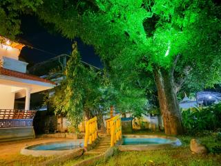 Dream Palace - Alleppey - 4