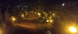 Wilpattu Wild Villa - 5