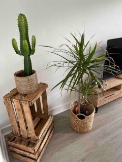 Le Charmeur * * * - 2