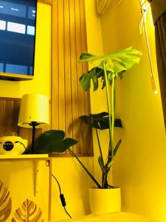 Not active listing - Manila - 6