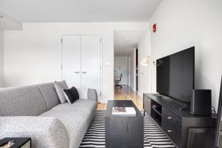 Back Bay Studio w Gym nr Newbury St BOS-459 - Boston - 8