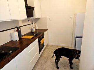 Apartament Moniuszki Starówka Bytom 40m2 - 2