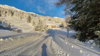 Tgantieni Sot - Apartment mit Herz - Lenzerheide - 9
