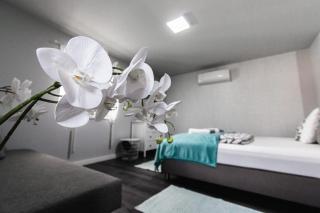 Sunny Garden Apartment - Bogács - 2